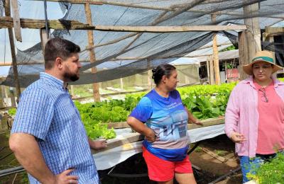 Produtores da Agricultura Familiar recebem suporte do programa Horta Viva