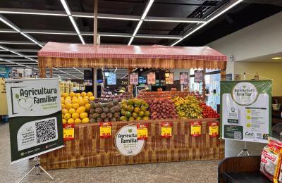 Ministério da Agricultura reconhece projeto do CAT Sorriso e coloca agricultura familiar de Mato Grosso em destaque nacional
