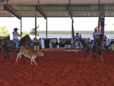 Caminhos do Cavalo