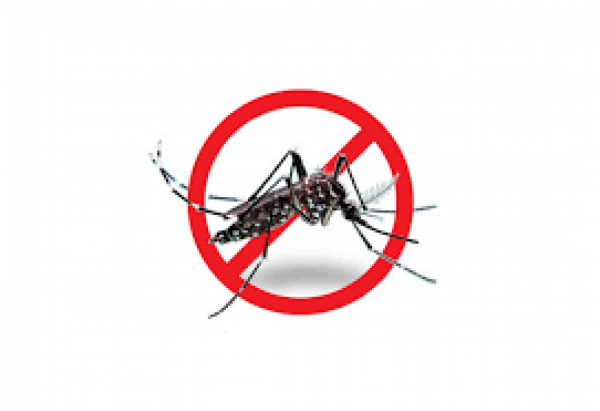 De janeiro a outubro, Sorriso registrou  casos de dengue