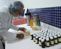 Farmácia Viva: equipe do CAPS participa de curso prático para manipulação de ervas medicinais
