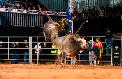 Arena de Sorriso promete duelo entre os líderes da PBR Brazil antes da final em Barretos