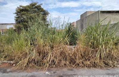 NIF divulga novo edital com lista de terrenos notificados no Terra Brasil