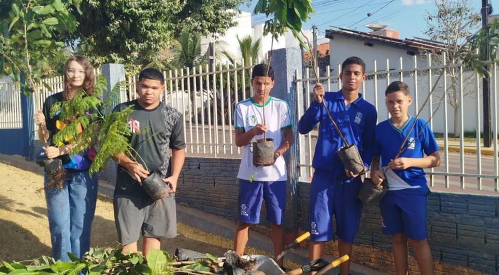 Plantio de Árvores | NUCA