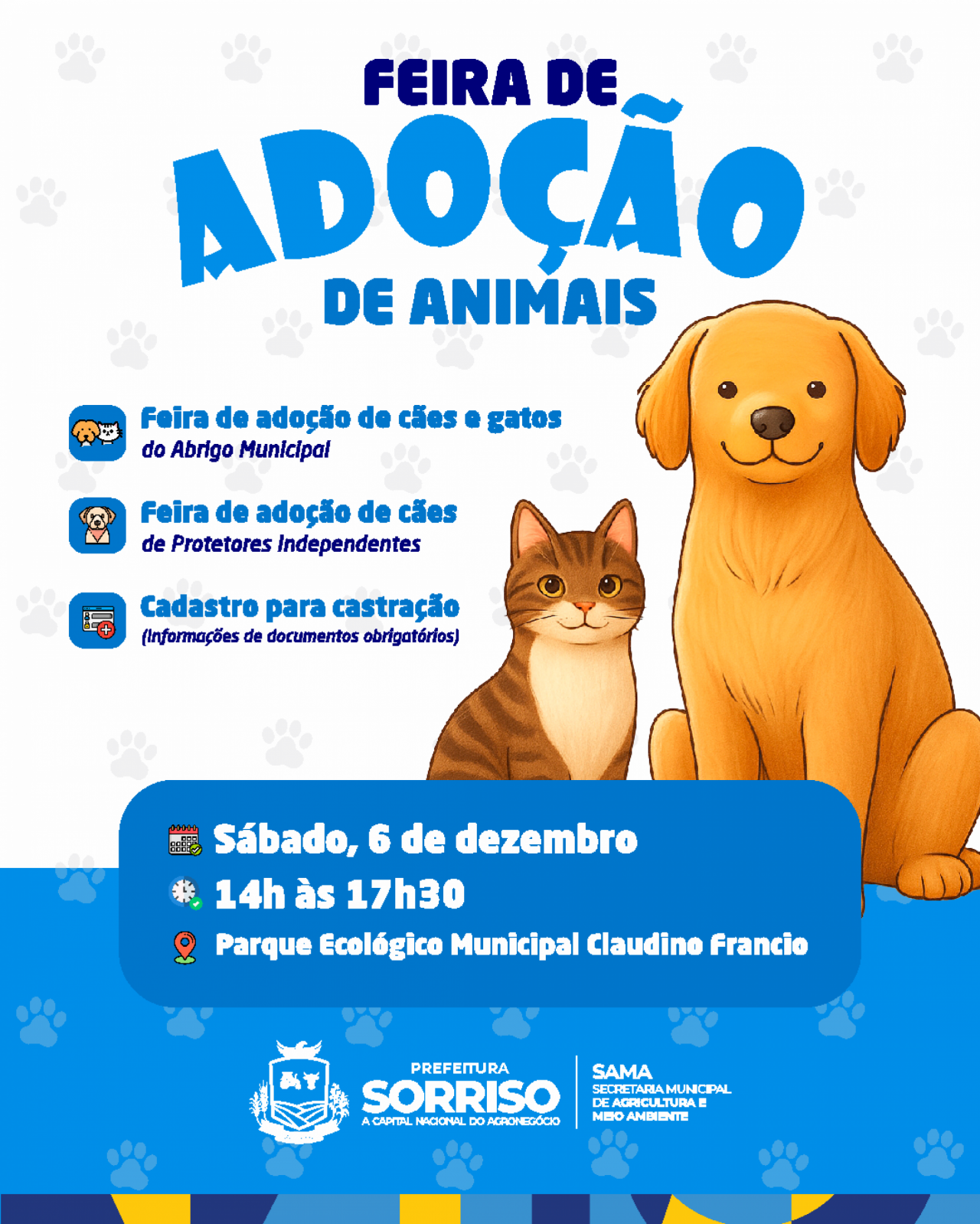 Última feirinha de adoção será no sábado, 06 de dezembro