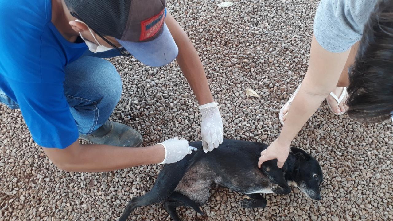 Júnior Antônio de Barros