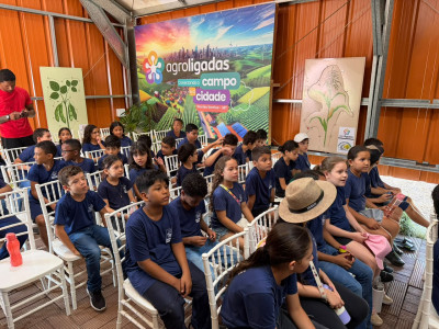 Foto: Reprodução/Prefeitura de Sorriso - MT