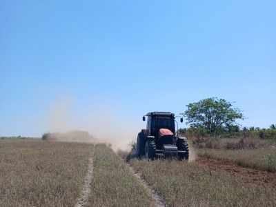 Foto: Reprodução/Prefeitura de Sorriso - MT