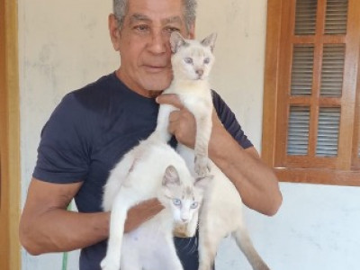 Foto: Reprodu&ccedil;&atilde;o/Prefeitura de Sorriso - MT