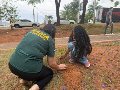 Foto: Reprodução/Prefeitura de Sorriso - MT