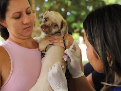 Foto: Reprodução/Prefeitura de Sorriso - MT