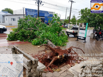 Foto: Reprodução/Prefeitura de Sorriso - MT