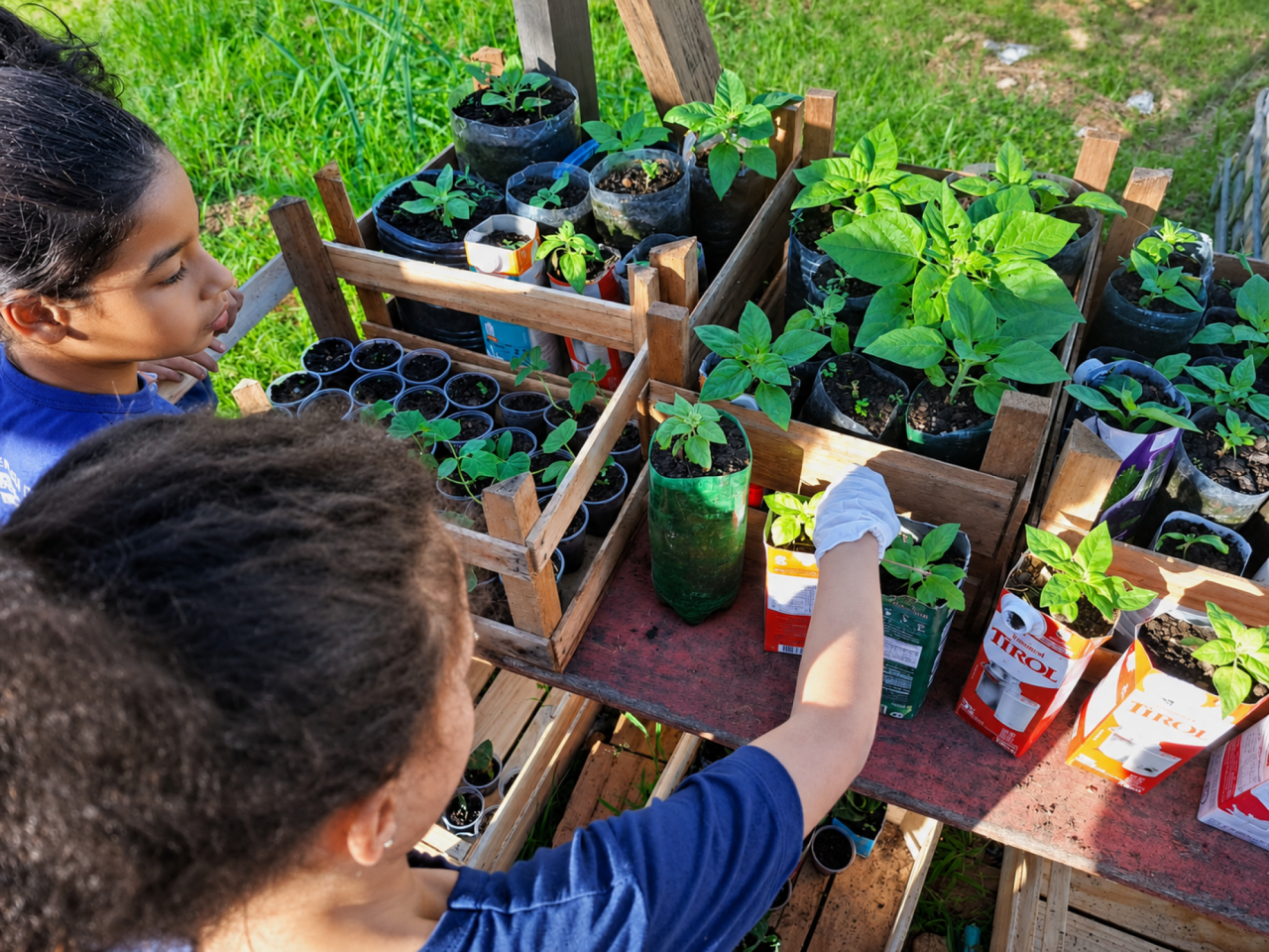 EM Jardim Bela Vista realiza atividades de educação ambiental com turmas do 3º e 4º ano