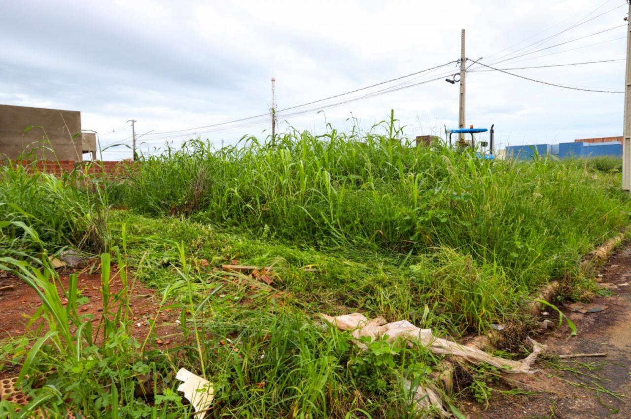 Prefeitura altera forma de notificação a proprietários de terrenos baldios