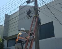 Prefeitura segue dando apoio à Energisa na limpeza da rede elétrica