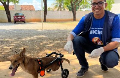 Sorriso realiza mais um Dia D para vacinação dos pets