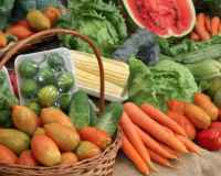 Prefeitura de Sorriso abre chamada para agricultores familiares fornecerem alimentos ao PAA