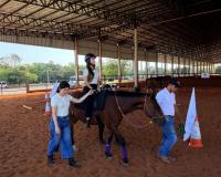 Com apoio do Município, Imapa reforça atendimento de equoterapia