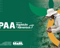 Prefeitura de Sorriso lança PAA com previsão de adquirir 22,7 toneladas de alimentos da agricultura familiar