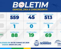 Saúde divulga boletim atualizado de arboviroses