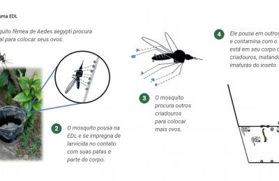 Vigilância Ambiental inicia instalação de estações com larvicidas em PEs