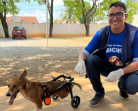 Sorriso realiza mais um Dia D para vacinação dos pets