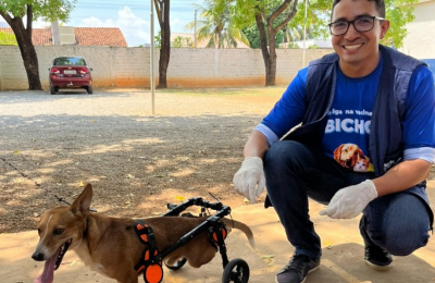 Sorriso realiza mais um Dia D para vacinação dos pets