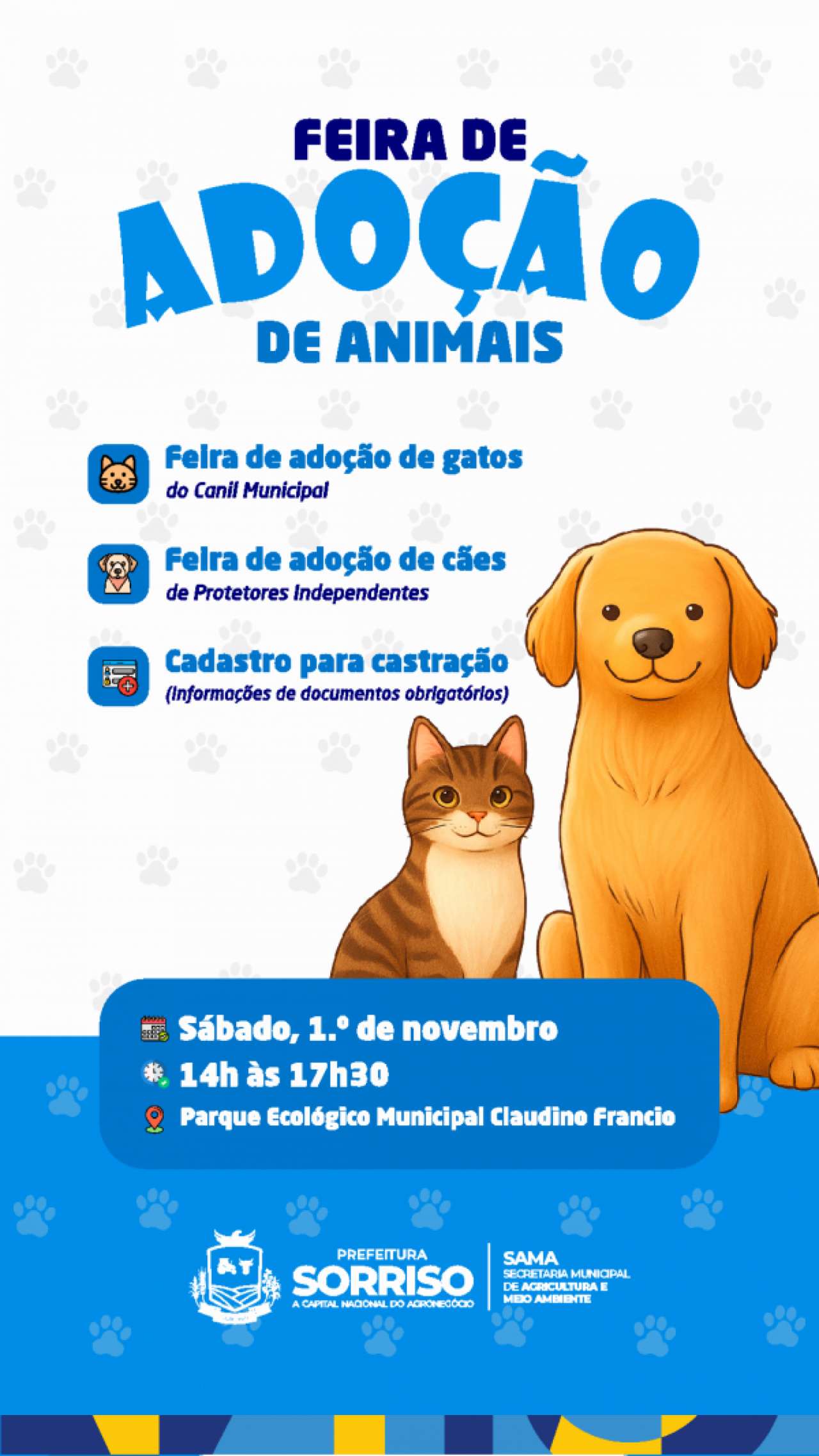 Feira de adoção de cães e gatos será neste sábado