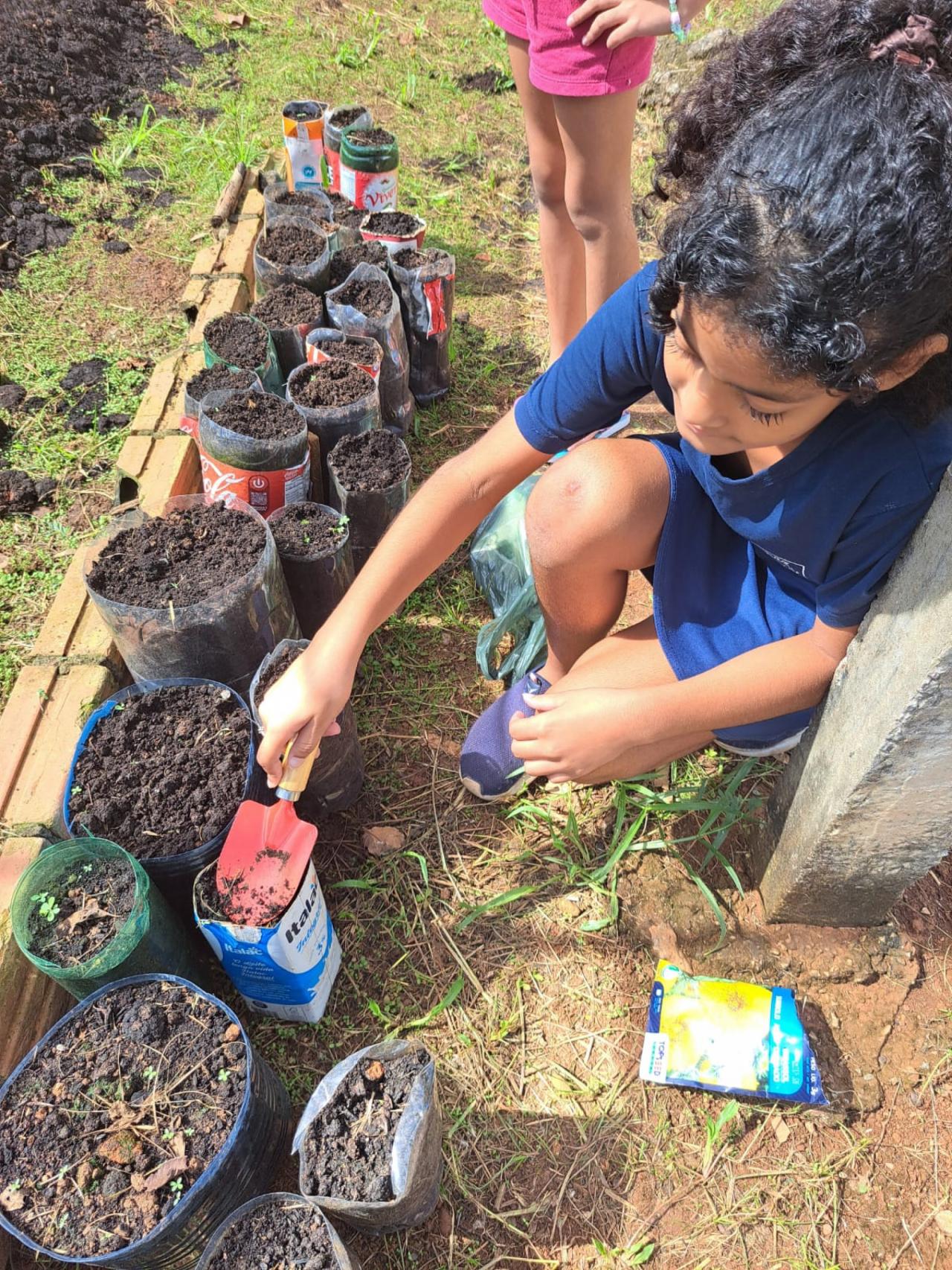 Alunos da Escola Jardim Bela vista vivenciam na prática a importância das plantas e suas raízes
