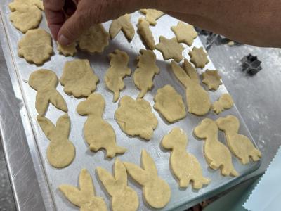Bolacha ou Biscoito?
